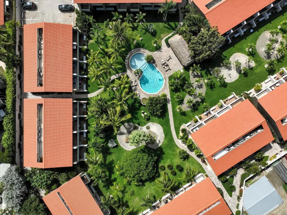 Eagle Beach Luxury House, Walking Distance To The Beach Palm Beach Extérieur photo
